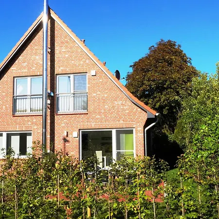 Kleiner Friesenbaer *